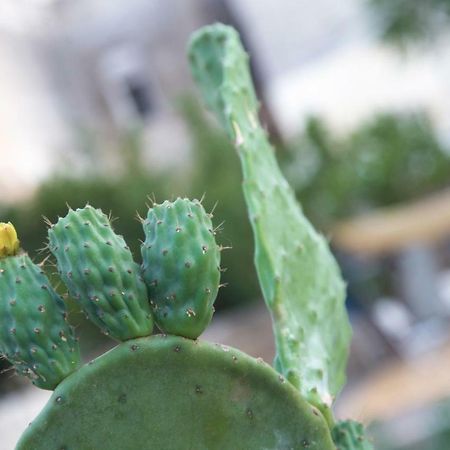 Il Giardino Delle Margherite Lecce Kültér fotó