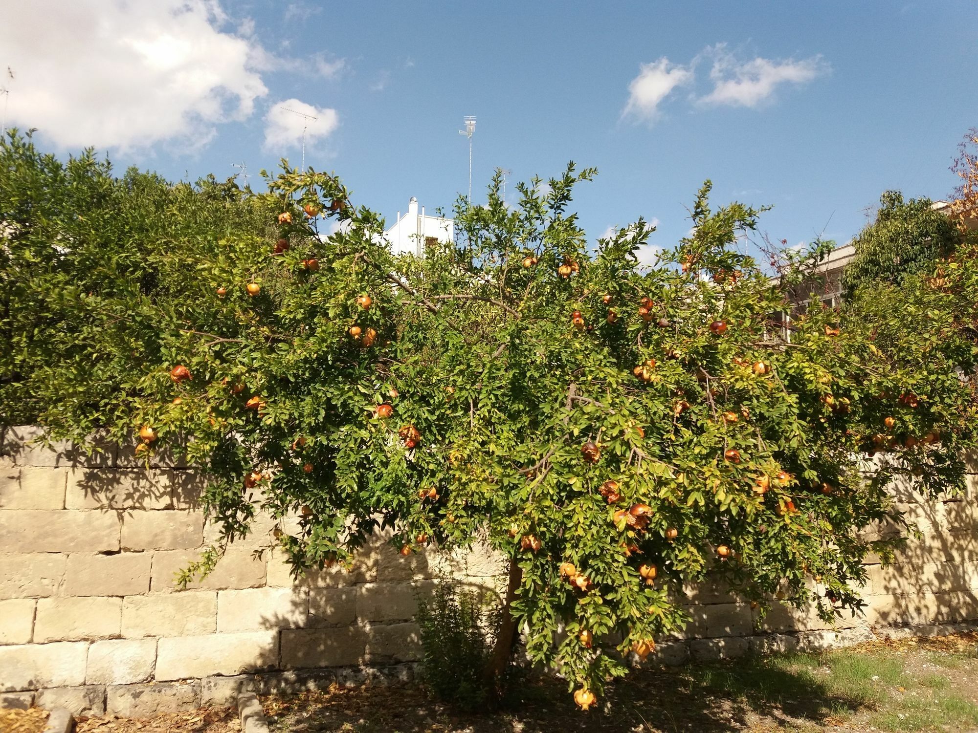 Il Giardino Delle Margherite Lecce Kültér fotó