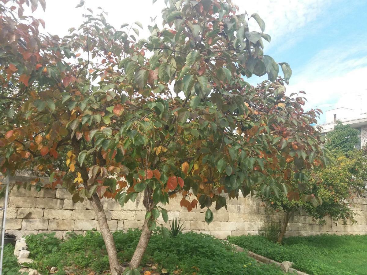Il Giardino Delle Margherite Lecce Kültér fotó